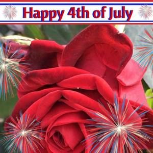 Meet your Posher, Ann